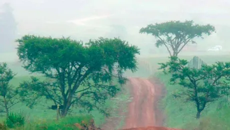 Journeying Together: LWF Communion in Africa 1955-2015