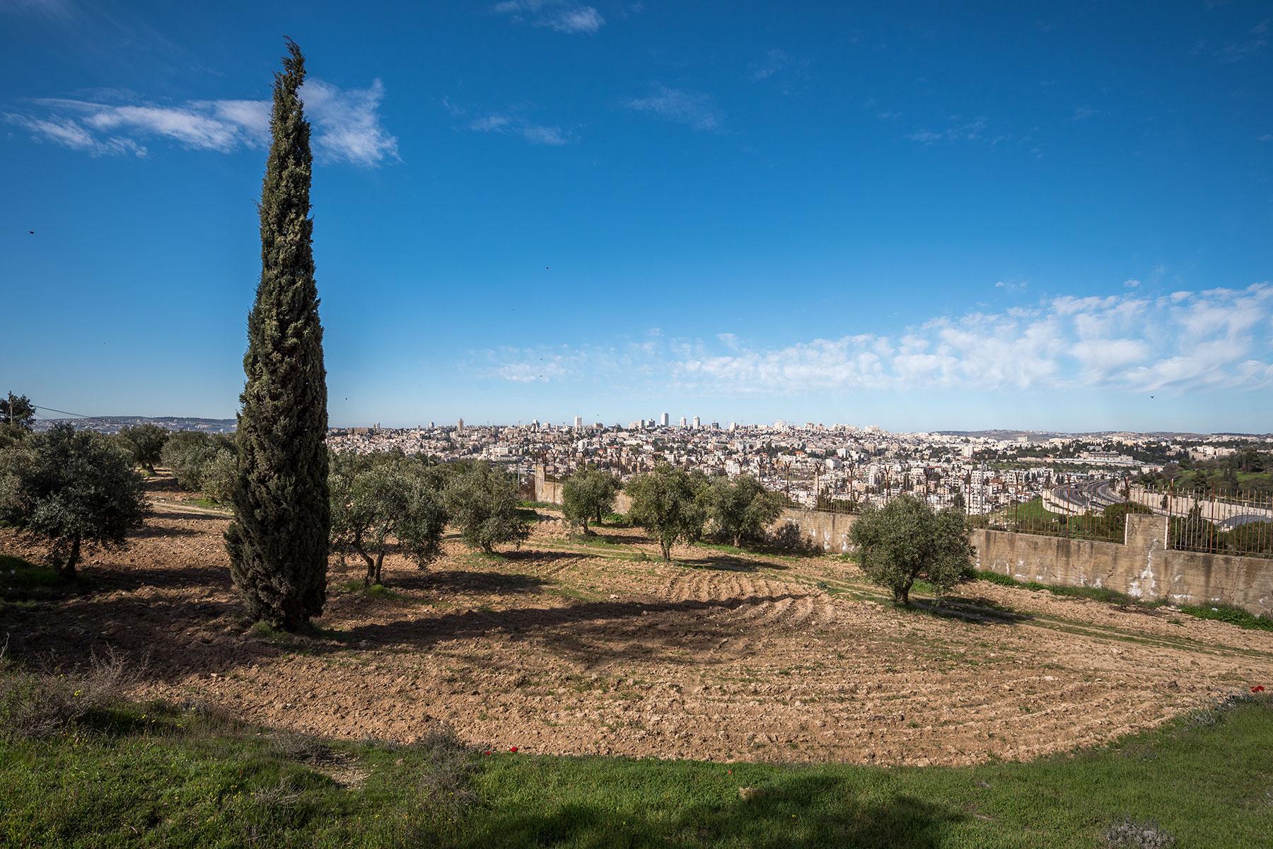 Ost-Jerusalem. Foto: LWB/Albin Hillert