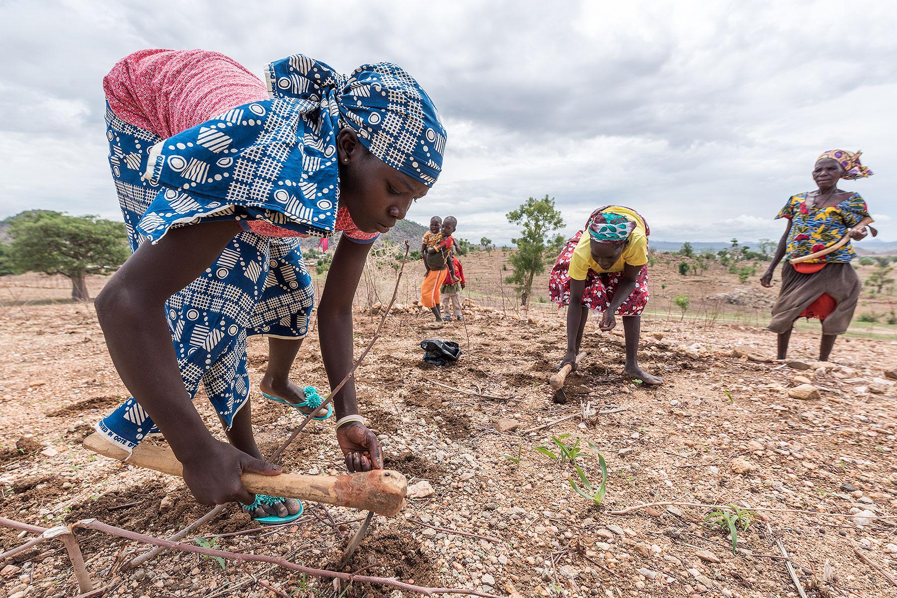 Die Akkreditierung des LWB als Beobachter bei der UNEP-Umweltversammlung bietet eine wichtige Gelegenheit, die Stimmen der Menschen zu bündeln, die von den durch den Klimawandel verursachten Umweltproblemen am stärksten betroffen sind. Das Foto zeigt Frauen bei der Aussaat von Erdnüssen in der Nähe des Flüchtlingslagers Minawao in Kamerun. Foto: LWB/Albin Hillert
