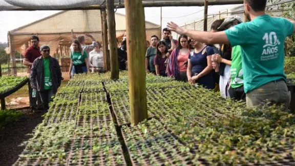 La producción de árboles nativos se realiza en el Instituto Línea Cuchilla, los que luego irán a los campos para mitigar la huella de carbono. Foto: FLM/Eugenio Albrecht