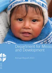 DMD Annual Report 2013