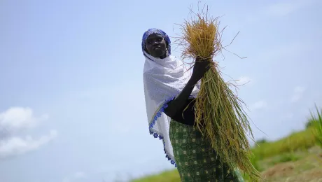 Field visit to Logone Birni on July 11, 2024: Funded by GAC, the "Gender Transformative Climate Adaptation" is implemented by LWF in the Lake Chad Basin, covering regions in both Cameroon and Chad. Photo: LWF/ M. Renaux