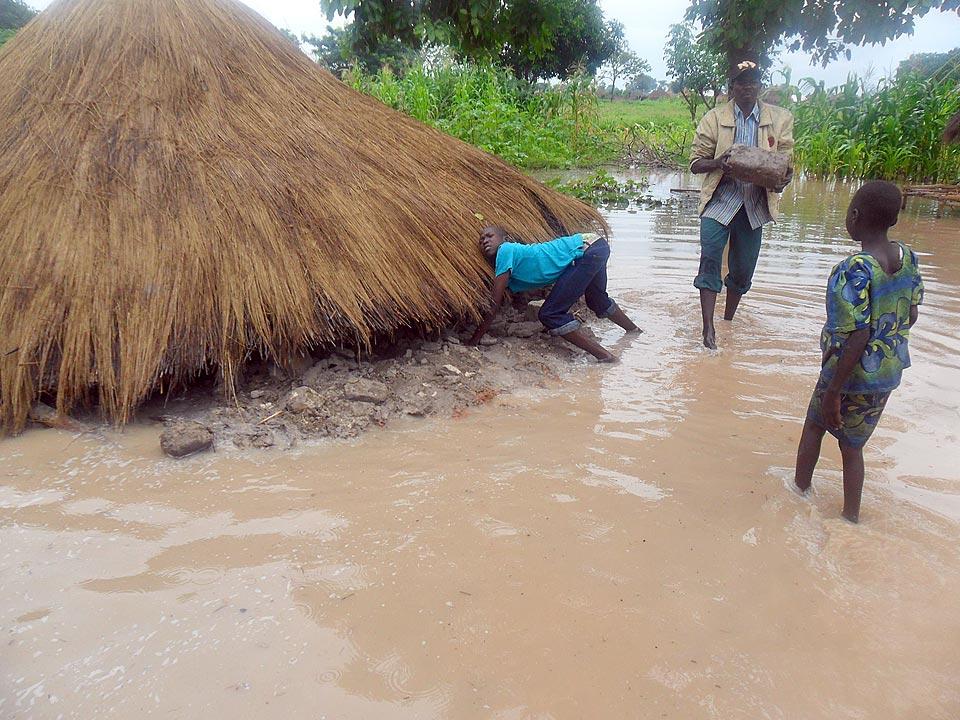 Die starken Regenfälle und die Überflutungen haben Felder überschwemmt und Häuser im südlichen Tschad beschädigt. © LWB/AWD-Tschad