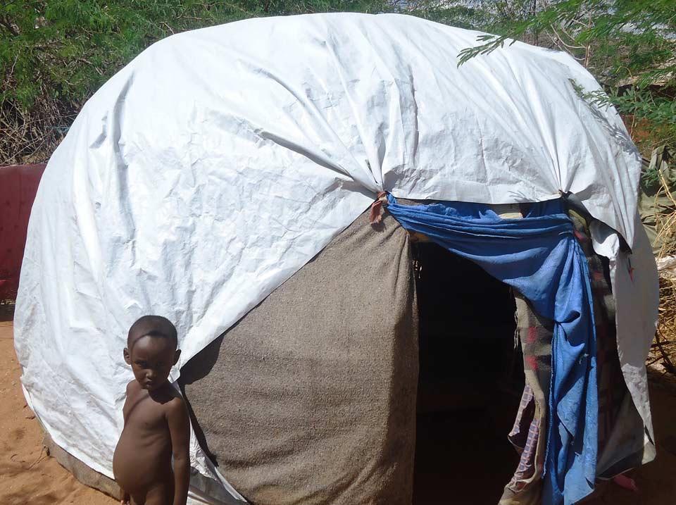 Eine provisorische Hütte dient als Unterkunft im Ifo-Lager in Dadaab. © LWF/AWD Kenia-Djibouti/F. Otieno