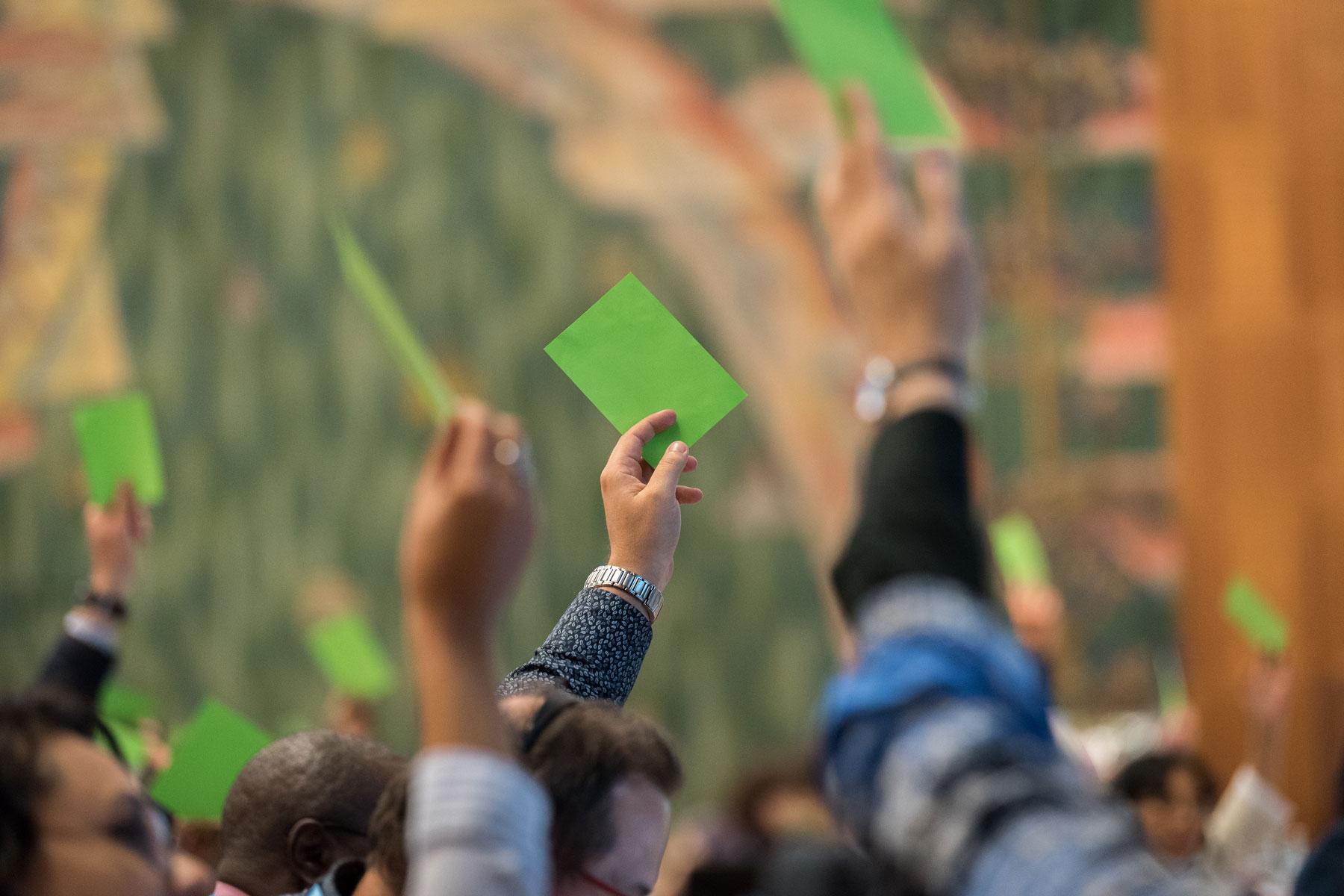 LWB-Ratsmitglieder stimmen auf der Ratstagung 2019 in Genf ab. Photo: FLM/Albin Hillert