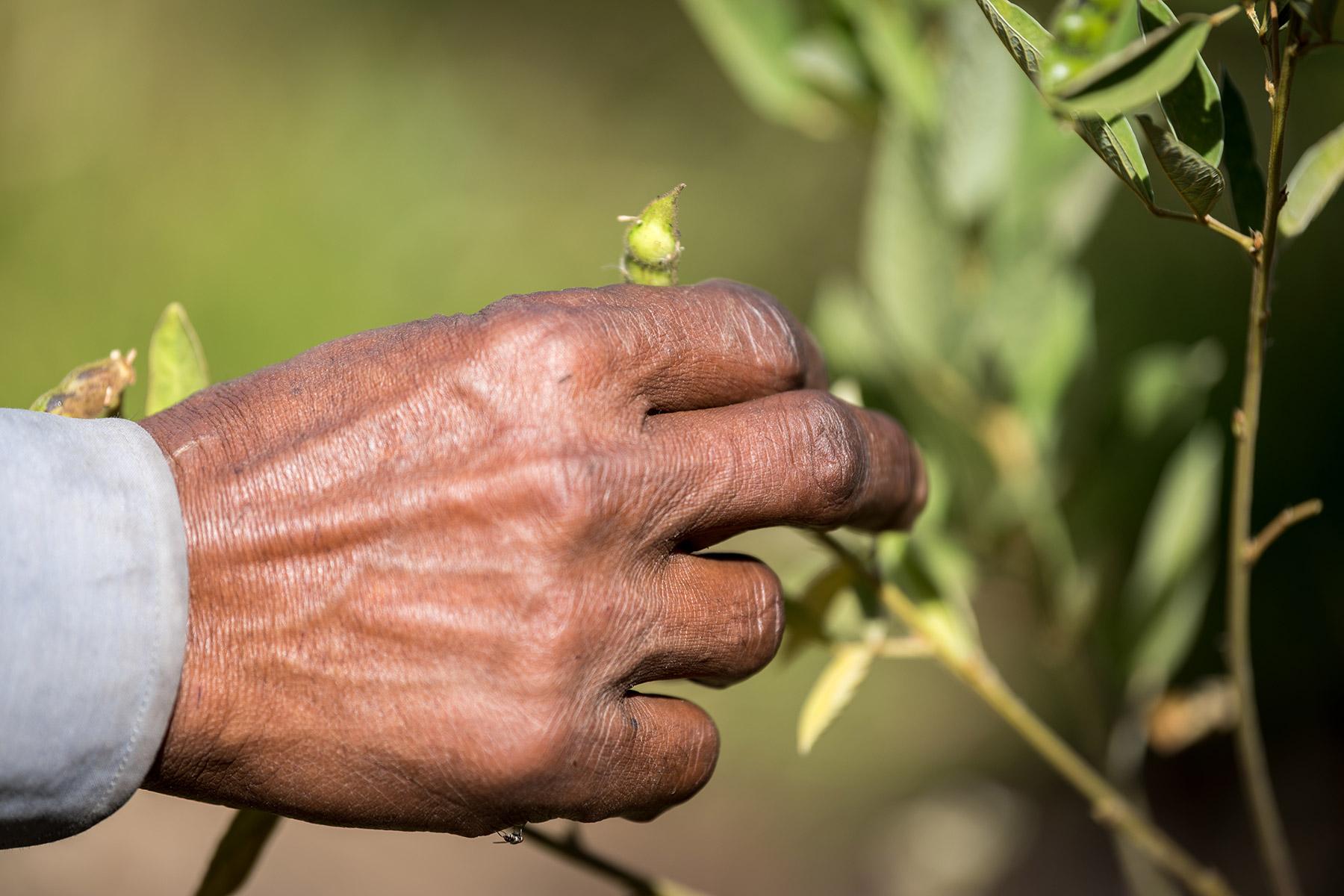 Äthiopien: Ernährungssicherheit durch Schulung in landwirtschaftlichen Methoden, die an das sich ändernde Klima angepasst sind. Foto: LWB/Albin Hillert