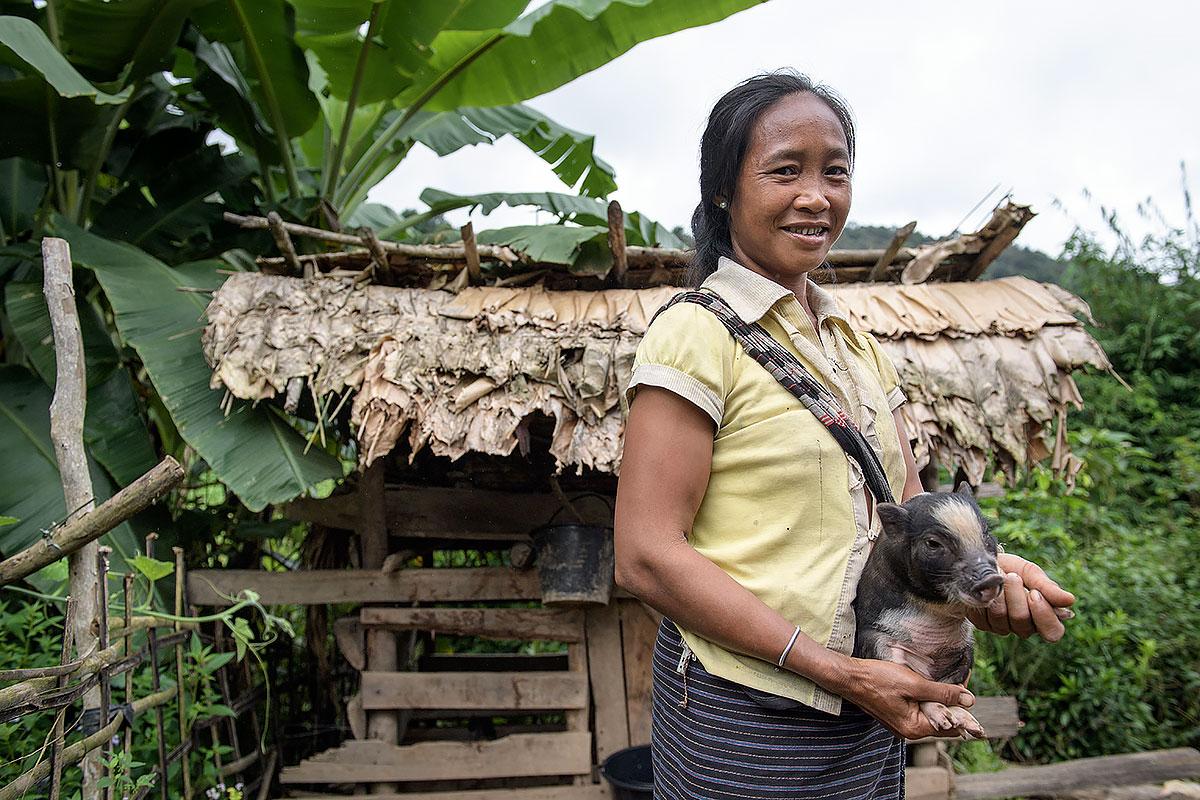 A Laotian woman with a piglet provided by the LWF. Photo: LWF 