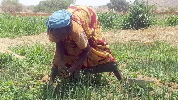 A woman works in the fields of Ouaddai Province in Eastern Chad. Photo: LWF/Allahramadji Gueldjim 