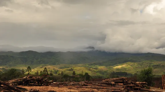 Forestry in Morobe Province - Photo: LWF/C.Richter