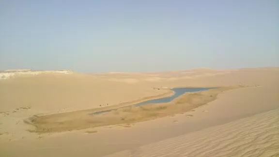 Water source in the desert near Siwa. Photo: StÃ©phane Gallay 