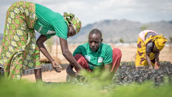 Eine Gruppe von Flüchtlingen arbeitet in einer Baumschule im Lager Minawao, in dem Flüchtlinge aus Nigeria leben. Fotos: LWB/Albin Hillert