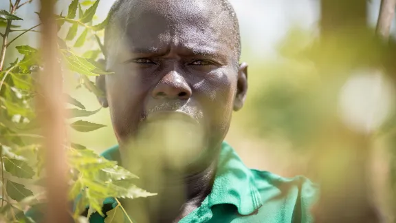 Ayuba Tada, ein nigerianischer Flüchtling, arbeitet jetzt im zweiten Jahr in der Baumschule in einem der so genannten 26 „Green Spaces“ , die in dem für nigerianische Flüchtlinge errichteten Lager Minawao und der unmittelbaren Nachbarschaft entstanden sind. Ein fünfjähriger Pflanzungs- und Erntezyklus stellt die Versorgung mit Brennholz sicher. Die Äste werden als Rohmaterial für die Dächer verwendet. Das Projekt ist ein Schritt, um die Umweltbelastung in Minawao und in der Umgebung des Lagers zu verringern