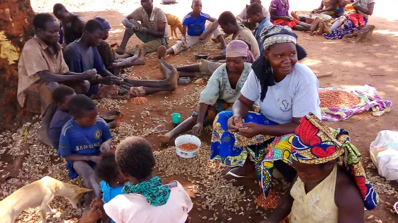 Community members meet under a big mango tree, pealing peanuts together. Photo: LWF/Central African Republic