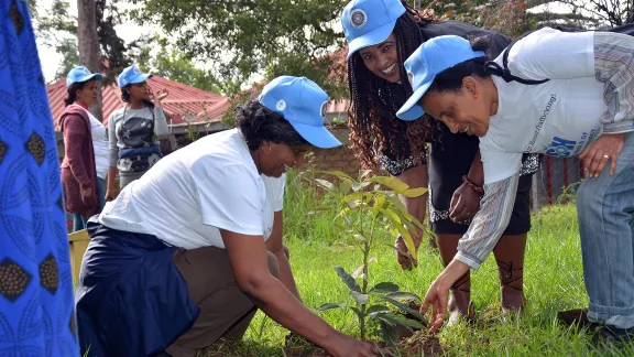 Mitarbeiterinnen der ÄEKMY nehmen an einer landesweiten Baumpflanzinitiative teil und zeigen so das Engagement der Kirche für den Erhalt der Schöpfung und gegen den Klimawandel. Foto: ÄEKMY/Abeya Wakwoya