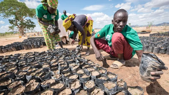 A group of nursery gardeners, themselves Nigerian refugees, work in a tree nursery in the Minawao camp for Nigerian refugees in Cameroon in 2019. Planted across 20 so-called âgreen spacesâ, a five-year planting and harvest cycle provides firewood, vines for building roofs, and a step in alleviating environmental impact in and around Minawao. The refugees are supported by the LWF, together with a range of partners. Photo: LWF/Albin Hillert