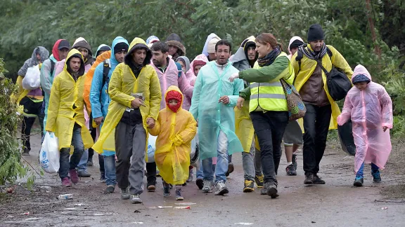 Escorted by a Czech volunteer (in the high-visibility vest), refugees approach the border into Croatia near the Serbian village of Berkasovo. Photo: Paul Jeffrey