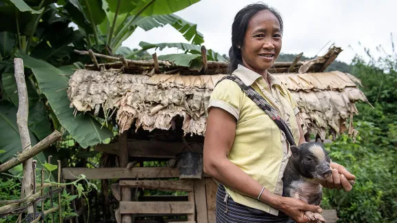 A Laotian woman with a piglet provided by the LWF. Photo: LWF 