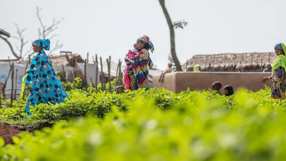 Gefährdete Gruppen, darunter Flüchtlinge, Frauen und Kinder, sind ebenfalls überdurchschnittlich stark vom Klimawandel betroffen. Das vom LWB unterstützte Flüchtlingslager Gado im Osten Kameruns beherbergt mehr als 25.000 Flüchtlinge aus der benachbarten Zentralafrikanischen Republik. Foto: LWB/Albin Hillert