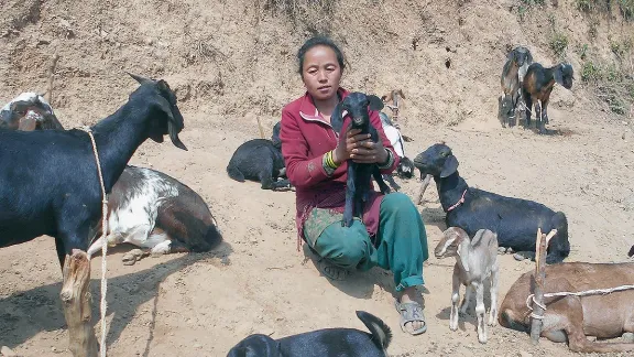 Asmita Nyasur, an indigenous woman in Nepal, used financial support provided by LWF Nepal to recover from the 2015 earthquake. Photo: LWF/Ram Sharan Sedhai