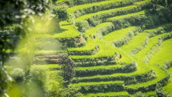 Nepal: A woman works her field. Photo: LWF/Albin Hillert