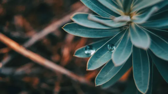 Für viele indigene Völker stehen runde Dinge in der Natur für den Kreislauf des Lebens und die gesamte Schöpfung. Dieses Motiv wird oft in der runden Form ihrer Behausungen und Wohnstätten aufgegriffen. Foto: Verónica Álvarez via Unsplash