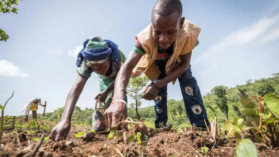 Im Flüchtlingslager Ngam, Kamerun, schult der LWB die Menschen in modernen Anbautechniken. Durch die Einhaltung eines strengen Verhältnisses zwischen der Saat pro Hektar und dem gemeinsamen Anbau von Maniok und Erdnüssen können sie die Ernteerträge steigern und die Bodenfruchtbarkeit über einen längeren Zeitraum erhalten. Foto: LWB/Albin Hillert