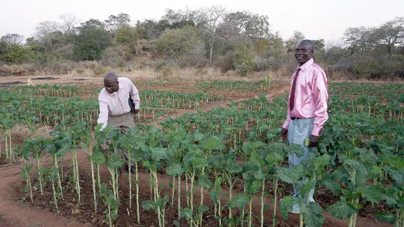 Ein Nutzgarten für Menschen, die mit HIV und AIDS leben, in Musume, Simbabwe. Foto: LWB/J. Brümmer