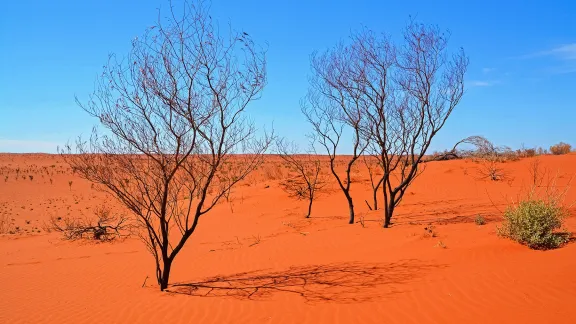 Desert in Western Australia. Photo: Jeremy Bezanger, Unsplash