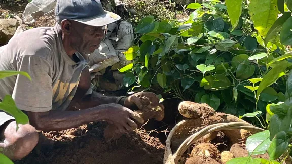 Madeline Dol and her husband, community of Despagne, Grand Anse. Ms Dol received support to develop her smallholding, growing leeks, peppers, yams, herbs, cabbage, plantains, to eat and sell. On one hand, the garden diversifies the family’s income and stabilizes the slopes, preventing landslides during extreme weather. Photo: LWF/ M. French