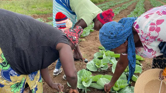 Ein von Frauen betriebener Gemeinschaftsgarten in Mberengwa, Simbabwe