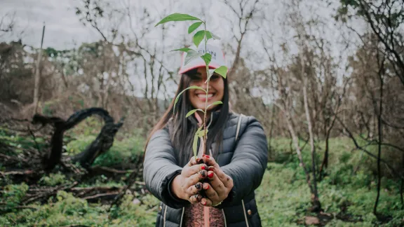 In Argentina’s Misiones Province where the Evangelical Church of the River Plate conducted 310 activities on biodiversity conservation and restoration, 395 hectares of forests have been restored and reforested, including cultivation of fruit and medicinal species. Photo: IERP