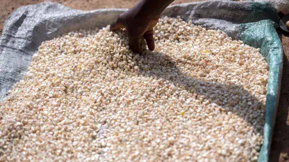 A woman stirs corn.