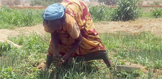 A woman works in the fields of Ouaddai Province in Eastern Chad. Photo: LWF/Allahramadji Gueldjim 
