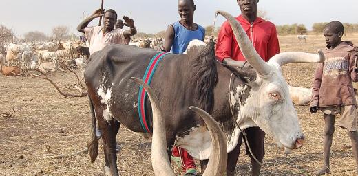 Cattle camp boys with one of their livestock Â© LWF/Fredrick Nzwili