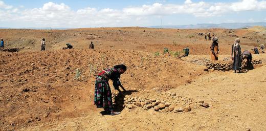 Lasta and Lalibela in North Wollo, Amhara, is one of the districts most seriously affected by drought. Photo: LWF/S. Gebreyes