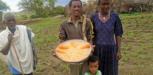 Amare Mulaw and his family, showing his âLutheranâ corn. Photo: LWF/ Yitbarek FREW