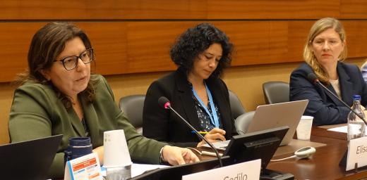 Elena Cedillo, LWF Program Executive for Climate Justice, on a panel together with Elisa Morgera, UN special rapporteur on Human Rights and Climate Change, speaking on “A Human Rights and Ethical Perspective on Non-economic Loss and Damage in the Context of Climate Change.” Photo: Private